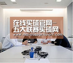 研发能力标题二