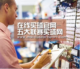 研发能力标题三