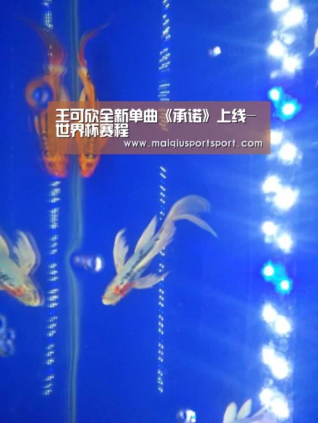 王可欣全新单曲《承诺》上线-世界杯赛程