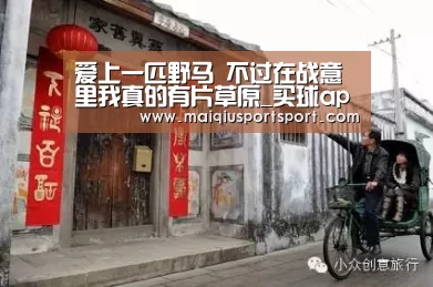 爱上一匹野马 不过在战意里我真的有片草原_买球app下载