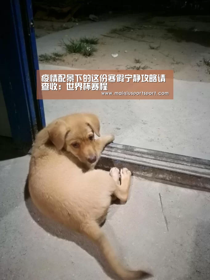 疫情配景下的这份寒假宁静攻略请查收:世界杯赛程(图2) 买球网官网
