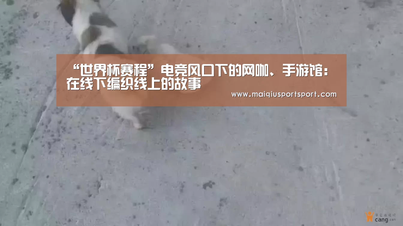 “世界杯赛程”电竞风口下的网咖、手游馆：在线下编织线上的故事