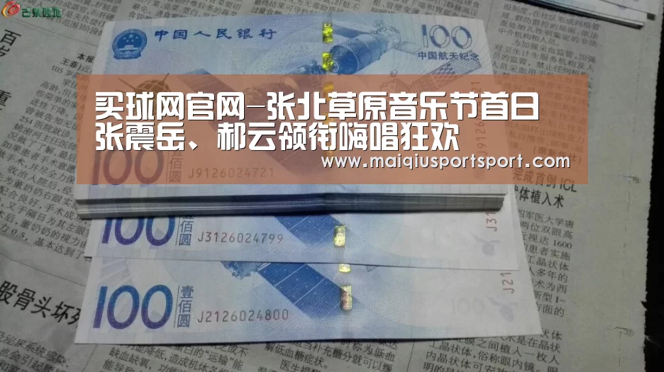 买球网官网-张北草原音乐节首日 张震岳、郝云领衔嗨唱狂欢