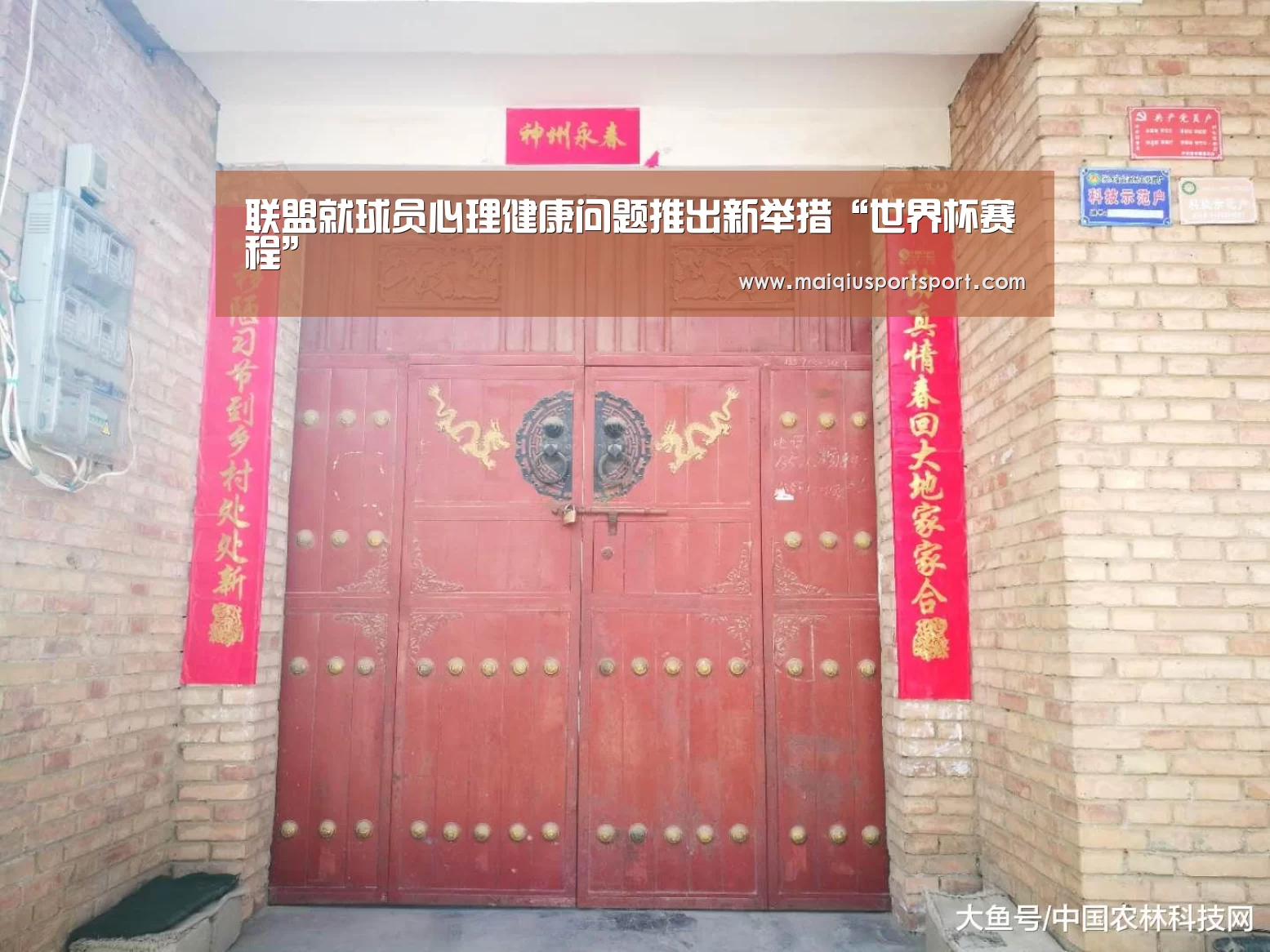 买球网官网