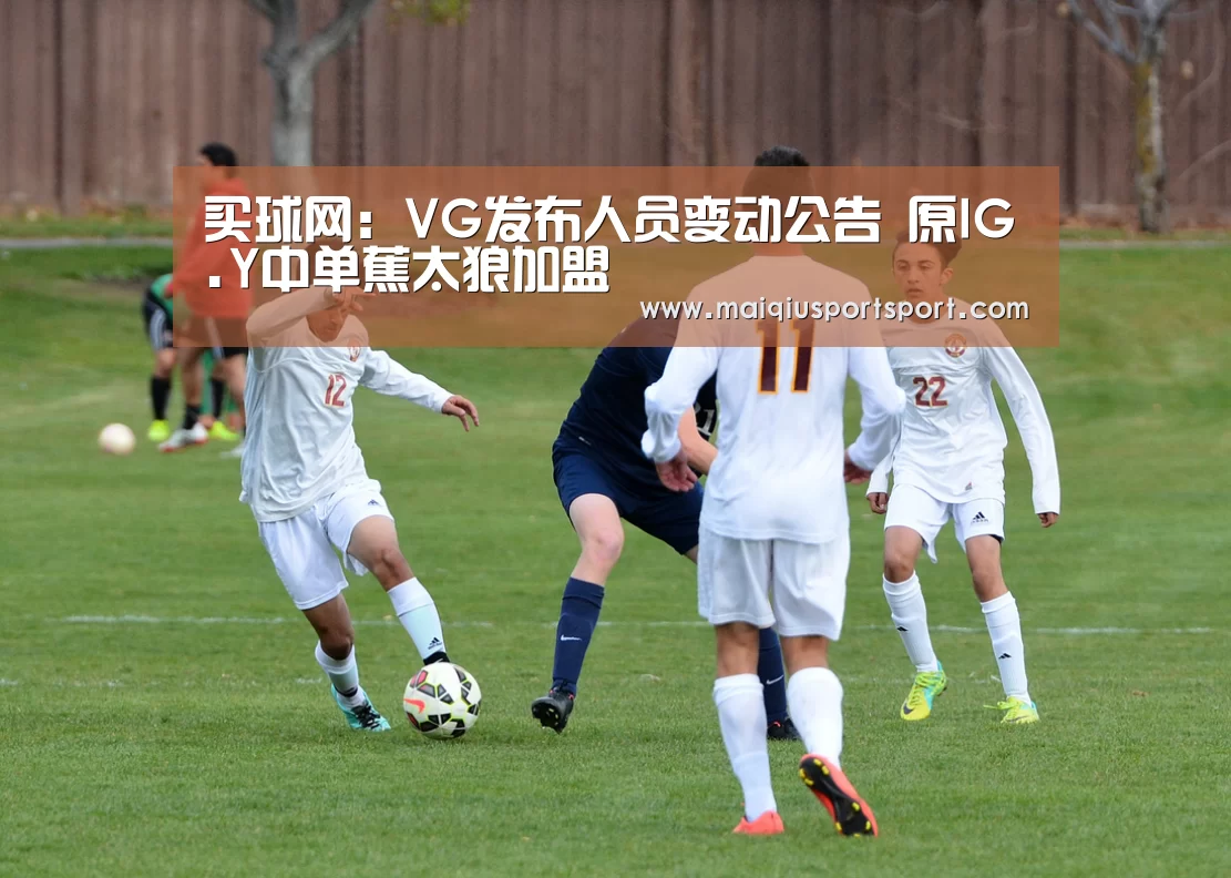 买球网:VG发布人员变动公告 原IG.Y中单蕉太狼加盟(图2) 世界杯赛程