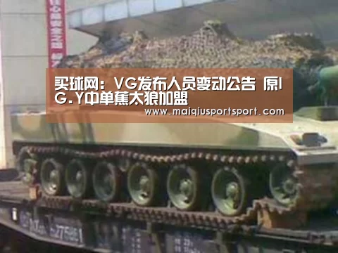 买球网:VG发布人员变动公告 原IG.Y中单蕉太狼加盟(图3) 买球网